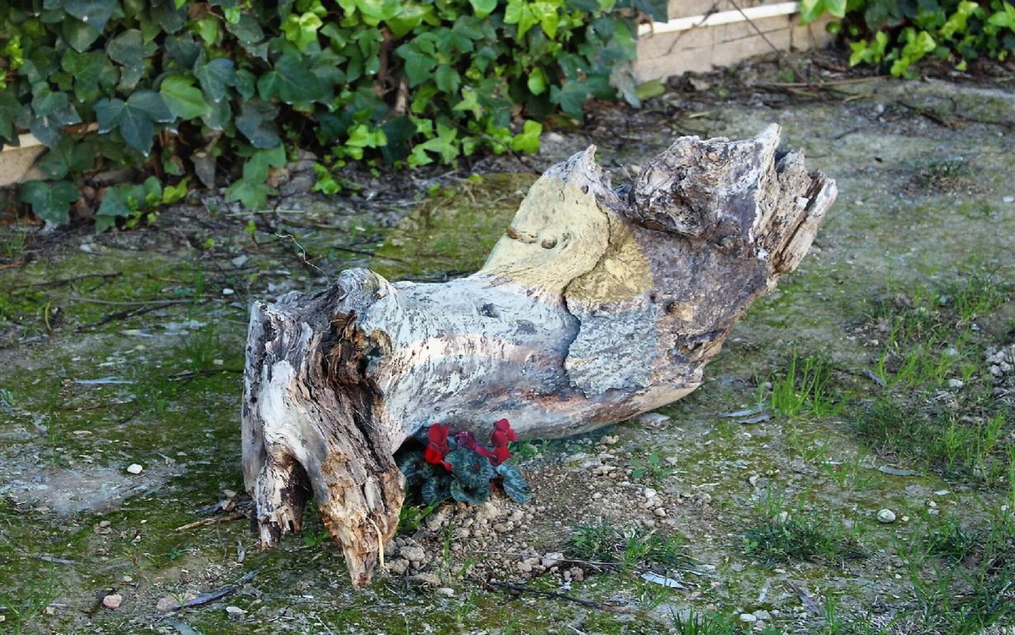 Barraca Tipica Del Delta, Con Piscina, Jardin Y Barbacoa - Deltavacaciones *