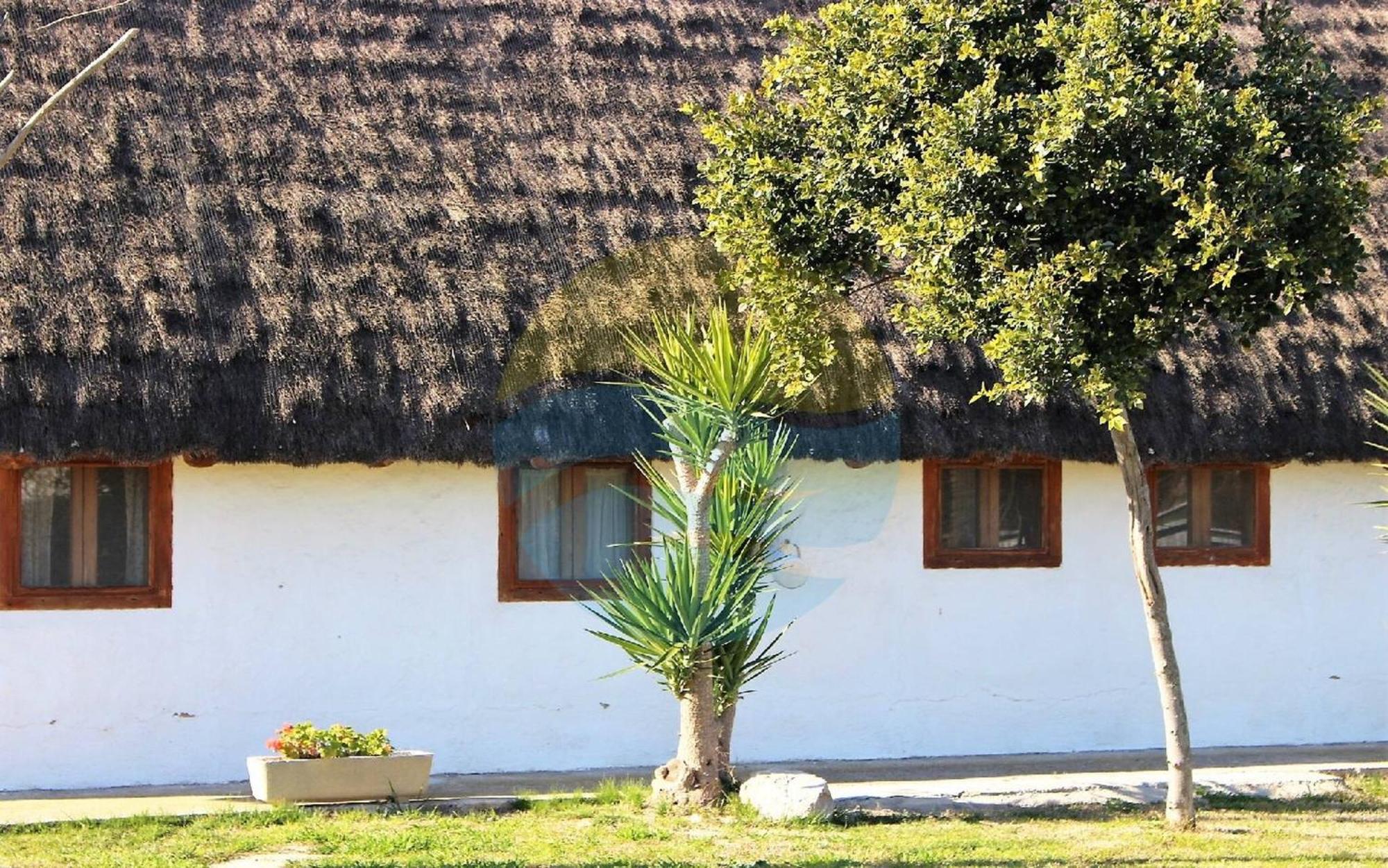 Barraca Tipica Del Delta, Con Piscina, Jardin Y Barbacoa - Deltavacaciones Ferienhaus